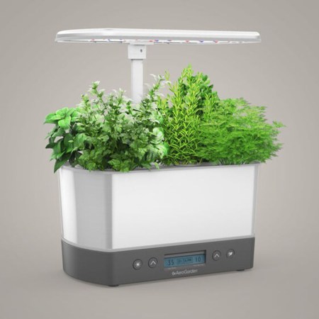 Chrome AeroGarden on a grey background with green plants growing